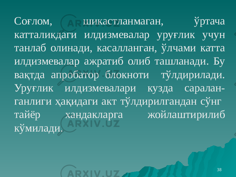 38Соғлом, шикастланмаган, ўртача катталикдаги илдизмевалар уруғлик учун танлаб олинади, касалланган, ўлчами катта илдизмевалар ажратиб олиб ташланади. Бу вақтда апробатор блокноти тўлдирилади. Уруғлик илдизмевалари кузда саралан- ганлиги ҳақидаги акт тўлдирилгандан сўнг тайёр хандакларга жойлаштирилиб кўмилади. 