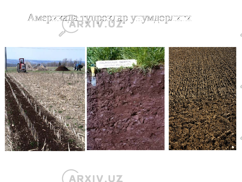 Америкада тупроқлар унумдорлиги 