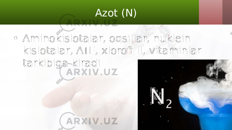 Azot (N) • Aminokislotalar, oqsillar, nuklein kislotalar, ATF, xlorofi ll, vitaminlar tarkibiga kiradi 
