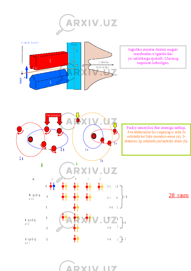 - 2 - 1 0 1 2 l= 2 l= 1 l= 0 1 0 1 8 l= 1 l= 0 l= 0 6 2 8 2 2 M - q o b i q n = 3 N - q o b i q n = 2 K - q o b i q n = 1 P P S d m 6 2 S S T a q i q l a n g a n 1 s 2 s a 1 s 2 s 2 p b A t o m l a r d a s t a s i B N S X E k r a n U r i l i s h l a r i n t e n s i v l i g i 28 rasmIngichka atomlar dastasi magnit maydondan o`tganda ikki yo`nalishlarga ajraladi. Ularning taqsimoti keltirilgan . Pauliy tamoyilini Bor atomiga tadbiqi. 3-ta elektronlar bir vaqtning o`zida 2s orbitada bo`lishi mumkin emas (a), 3- elektron 2p orbitada joylashishi shart (b). 