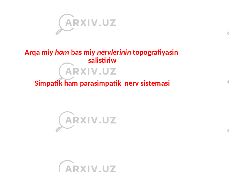 Arqa miy ham bas miy nervlerinin topografiyasin salistiriw Simpatik ham parasimpatik nerv sistemasi 