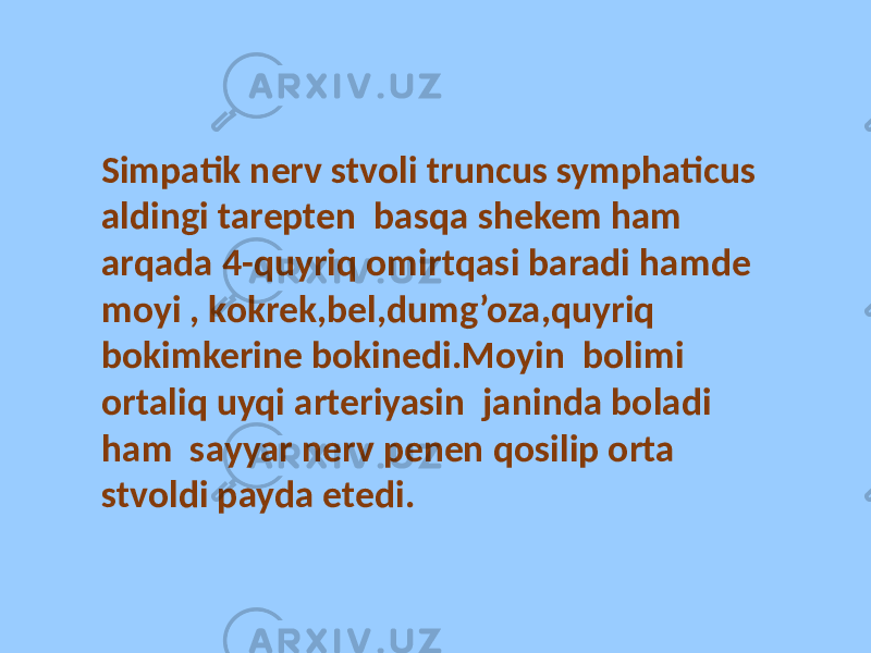 Simpatik nerv stvoli truncus symphaticus aldingi tarepten basqa shekem ham arqada 4-quyriq omirtqasi baradi hamde moyi , kokrek,bel,dumg’oza,quyriq bokimkerine bokinedi.Moyin bolimi ortaliq uyqi arteriyasin janinda boladi ham sayyar nerv penen qosilip orta stvoldi payda etedi. 