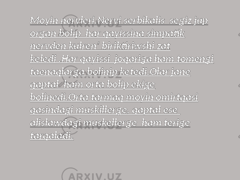 Moyin nervleri.Nervi serbikalis segiz jup organ bolip har qayissina simpatik nervden kulren’ biriktiriwshi zat keledi .Har qayissi joqariga ham tomengi taenaqlarga bolinip ketedi.Olar jane qaptal ham orta bolip ekige bolinedi.Orta tarmaq moyin omirtqasi qasindagi muskillerge, qaptal ese alislawdagi muskellerge ham terige tarqaladi. 