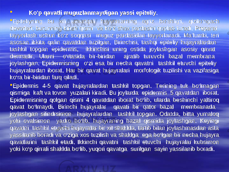  KK оо ‘p qavatli muguzlanmaydigan yassi epiteliy‘p qavatli muguzlanmaydigan yassi epiteliy ..  Epiteliyning bu xili umurtqali hayvonlarning og‘iz bEpiteliyning bu xili umurtqali hayvonlarning og‘iz b оо ‘shlig‘i, qizil‘shlig‘i, qizil оо ‘ngach ‘ngach devorlari, burunning kirish qismi va kdevorlari, burunning kirish qismi va k оо ‘z shox pardasini qoplab turadi. Preparat ‘z shox pardasini qoplab turadi. Preparat tayyorlash uchun ktayyorlash uchun k оо ‘z soqqasi muguz pardasidan tayyorlanadi. Ma’lumki, teri ‘z soqqasi muguz pardasidan tayyorlanadi. Ma’lumki, teri asosan ikkita qalin qavatdan tuzilgan. Birinchisi, tashqi epiteliy hujayralardan asosan ikkita qalin qavatdan tuzilgan. Birinchisi, tashqi epiteliy hujayralardan tashkil topgan epidermis, ikkinchisi uning ostida joylashgan asosiy qavat tashkil topgan epidermis, ikkinchisi uning ostida joylashgan asosiy qavat dermadir. Ularni dermadir. Ularni оо ‘rtasida bir-biridan ajratib turuvchi bazal membrana ‘rtasida bir-biridan ajratib turuvchi bazal membrana joylashgan. Epidermisning joylashgan. Epidermisning оо ‘zi esa bir necha qavatni tashkil etuvchi epiteliy ‘zi esa bir necha qavatni tashkil etuvchi epiteliy hujayralardan iborat. Har bir qavat hujayralari morfologik tuzilishi va vazifasiga hujayralardan iborat. Har bir qavat hujayralari morfologik tuzilishi va vazifasiga kk оо ‘ra bir-biridan farq qiladi.‘ra bir-biridan farq qiladi.  Epidermis 4-5 qavat hujayralardan tashkil topgan. Terining tuk bEpidermis 4-5 qavat hujayralardan tashkil topgan. Terining tuk b оо ‘lmagan ‘lmagan qismiga kaft va tovon yuzalari kiradi. Bu joylarda epidermis 5 qavatdan iborat. qismiga kaft va tovon yuzalari kiradi. Bu joylarda epidermis 5 qavatdan iborat. Epidermisning qolgan qismi 4 qavatdan iborat bEpidermisning qolgan qismi 4 qavatdan iborat b оо ‘lib, ularda beshinchi yaltiroq ‘lib, ularda beshinchi yaltiroq qavat bqavat b оо ‘lmaydi. Birinchi hujayralar qavati bir qator bazal membranada ‘lmaydi. Birinchi hujayralar qavati bir qator bazal membranada joylashgan silindrsimon hujayralardan tashkil topgan. Odatda, bitta yumaloq joylashgan silindrsimon hujayralardan tashkil topgan. Odatda, bitta yumaloq yoki ovalsimon yadro byoki ovalsimon yadro b оо ‘lib, hujayraning bazal qismida joylashgan. Keyingi ‘lib, hujayraning bazal qismida joylashgan. Keyingi qavatni tashkil etuvchi hujayralar bir xil shaklda, tartib bilan joylashmasdan asta qavatni tashkil etuvchi hujayralar bir xil shaklda, tartib bilan joylashmasdan asta yassilanib boradi va yassilanib boradi va оо ‘ziga xos tuzilish va shaklga ega b‘ziga xos tuzilish va shaklga ega b оо ‘lgan bir necha hujayra ‘lgan bir necha hujayra qavatlarini tashkil etadi. Ikkinchi qavatni tashkil etuvchi hujayralar kubsimon qavatlarini tashkil etadi. Ikkinchi qavatni tashkil etuvchi hujayralar kubsimon yoki kyoki k оо ‘p qirrali shaklda b‘p qirrali shaklda b оо ‘lib, yuqori qavatga surilgan sayin yassilanib boradi.‘lib, yuqori qavatga surilgan sayin yassilanib boradi. 