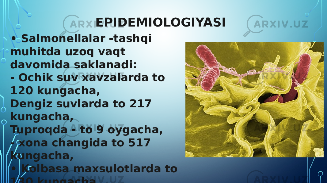 EPIDEMIOLOGIYASI • Salmonellalar -tashqi muhitda uzoq vaqt davomida saklanadi: - Ochik suv xavzalarda to 120 kungacha, Dengiz suvlarda to 217 kungacha, Tuproqda - to 9 oygacha, - xona changida to 517 kungacha, • Kolbasa maxsulotlarda to 130 kungacha, • tuxumlar va muzlatilgan gushtlarda to 13 oy. 