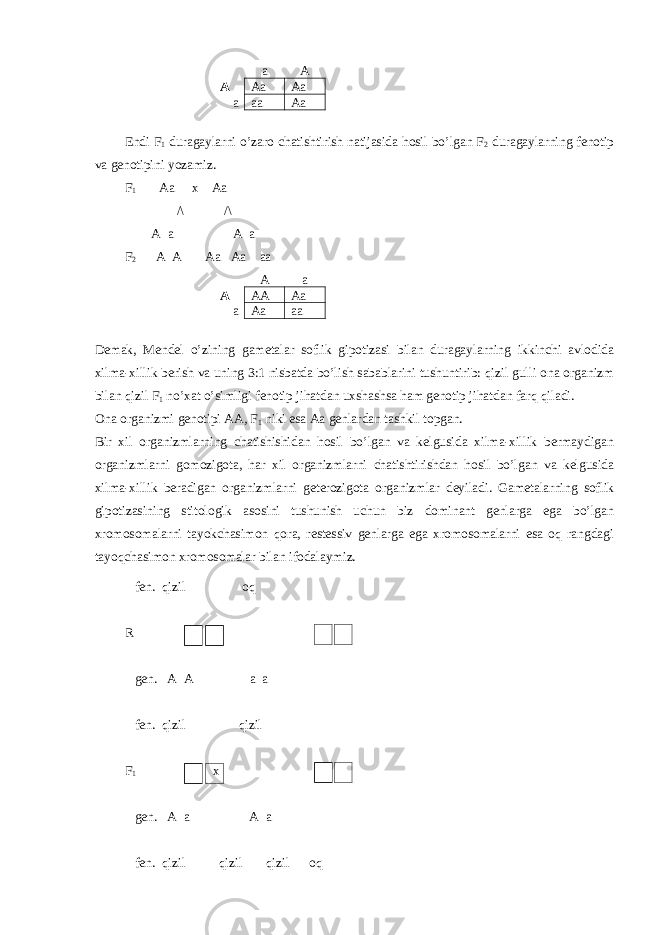  a A A Aa Aa a aa Aa Endi F 1 duragaylarni o’zaro chatishtirish natijasida hosil bo’lgan F 2 duragaylarning fenotip va genotipini yozamiz. F 1 Aa x Aa /\ /\ A a A a F 2 A A Aa Aa aa A a A AA Aa a Aa aa Demak, Mendel o’zining gametalar soflik gipotizasi bilan duragaylarning ikkinchi avlodida xilma-xillik berish va uning 3:1 nisbatda bo’lish sabablarini tushuntirib: qizil gulli ona organizm bilan qizil F 1 no’xat o’simligi fenotip ji ha tdan uxshashsa ham genotip jihatdan far q qiladi. Ona organizmi genotipi AA, F 1 niki esa Aa genlardan tashkil topgan. Bir xil organizmlarning chatishishidan hosil bo’lgan va kelgusida xilma-xillik bermaydigan organizmlarni gomozigota, har xil organizmlarni chatishtirishdan hosil bo’lgan va kelgusida xilma-xillik beradigan organizmlarni geterozigota organizmlar deyiladi. Gametalarning soflik gipotizasining stitologik asosini tushunish uchun biz dominant genlarga ega bo’lgan xromosomalarni tayokchasimon q ora, restessiv genlarga ega xromosomalarni esa oq rangdagi tayo q chasimon xromosomalar bilan ifodalaymiz. fen. qizil oq R x gen. A A a a fen. qizil qizil F 1 x gen. A a A a fen. qizil qizil qizil oq 