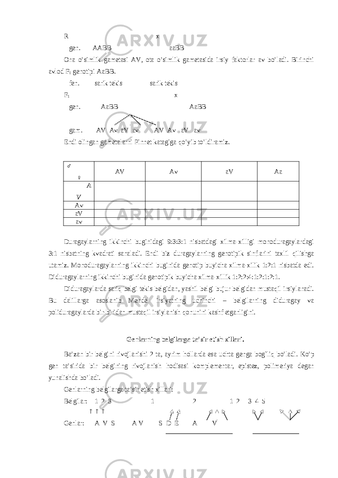 R x gen. AA ВВ aa ВВ Ona o’simlik gametasi AV, ota o’simlik gametasida irsiy faktorlar av bo’ladi. Birinchi avlod F 1 genotipi Aa ВВ . fen. sarik tekis sarik tekis F 1 x gen. Aa ВВ Aa ВВ gam. AV Av aV av AV Av aV av Endi olingan gametalarni Pinnet katagiga qo’ yib t o’ ldiramiz. ♂ ♀ AV Av aV Aa A V Av aV av Duragaylarning ikkinchi buginidagi 9:3:3:1 nisbatdagi xilma-xilligi monoduragaylardagi 3:1 nisbatning kvadrati sanaladi. Endi biz duragaylarning genotipik sinflarini taxlil qilishga utamiz. Monoduragaylarning ikkinchi buginida genotip buyicha xilma-xilik 1:2:1 nisbatda edi. Diduragaylarning ikkinchi buginida genotipik buyicha xilma-xillik 1:2:2:4:1:2:1:2:1. Diduragaylarda sari q belgi tekis belgidan, yashil belgi bujur belgidan mustaqil irsiylanadi. Bu dalillarga asoslanib Mendel irsiyatning uchinchi – belgilarning diduragay va poliduragaylarda bir-biridan mustaqil irsiylanish qonunini kashf etganligini. Genlarning belgilarga ta’sir etish xillari. Ba’zan bir belgini rivojlanishi 2 ta, ayrim h ollarda esa uchta genga bog`liq bo’ladi. K o’ p gen ta’sirida bir belgining rivojlanish h odisasi komplementar, epistez, polimeriya degan yunalishda bo’ladi. Genlarning belgilarga ta’sir etish xillari: Belgilar: 1 2 3 1 2 1 2 3 4 5    Genlar: A V S A V S D E A V 