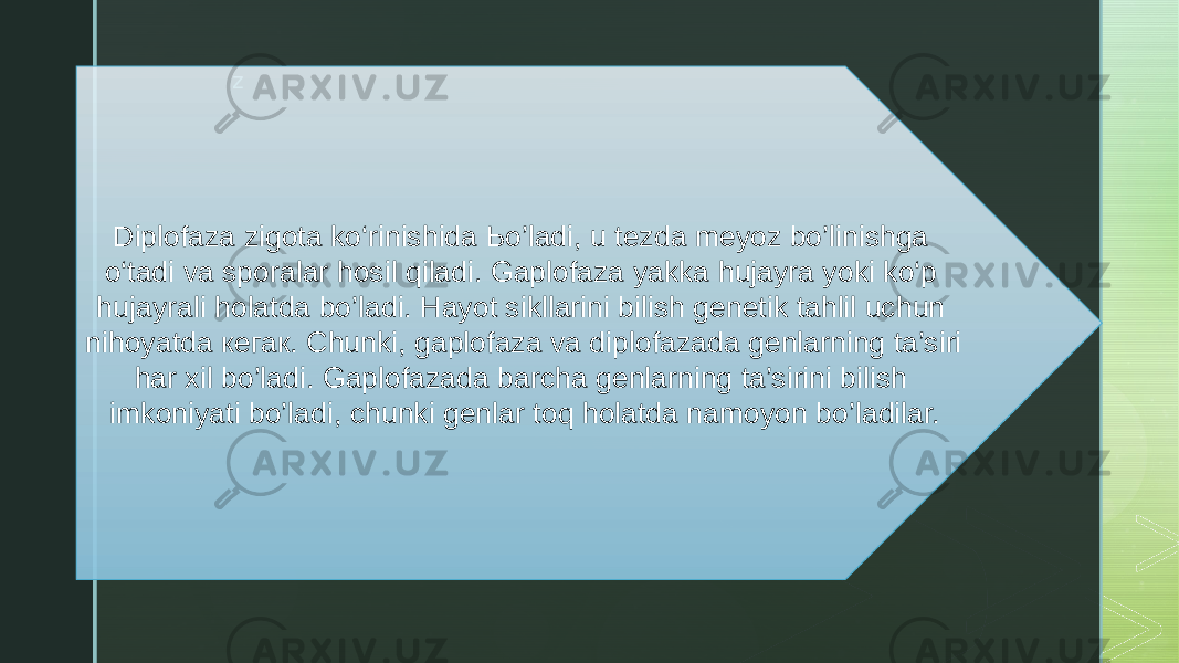 z Diplofaza zigota ko‘rinishida Ьо’ladi, u tezda meyoz bo’linishga o‘tadi va sporalar hosil qiladi. Gaplofaza yakka hujayra yoki ko‘p hujayrali holatda bo’ladi. Hayot sikllarini bilish genetik tahlil uchun nihoyatda кегак. Chunki, gaplofaza va diplofazada genlarning ta’siri har xil bo’ladi. Gaplofazada barcha genlarning ta’sirini bilish imkoniyati bo’ladi, chunki genlar toq holatda namoyon bo’ladilar. 