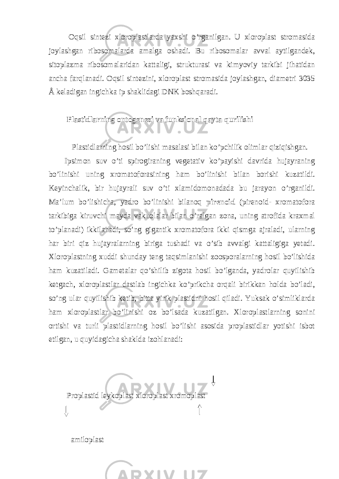  Oqsil sintezi xloroplastlarda yaxshi o’rganilgan. U xloroplast stromasida joylashgan ribosomalarda amalga oshadi. Bu ribosomalar avval aytilgandek, sitoplazma ribosomalaridan kattaligi, strukturasi va kimyoviy tarkibi jihatidan ancha farqlanadi. Oqsil sintezini, xloroplast stromasida joylashgan, diametri 3035 Å keladigan ingichka ip shaklidagi DNK boshqaradi. Plastidlarning ontogenezi va funksional qayta qurilishi Plastidlarning hosil bo’lishi masalasi bilan ko’pchilik olimlar qiziqishgan. Ipsimon suv o’ti spirogiraning vegetativ ko’payishi davrida hujayraning bo’linishi uning xromatoforasining ham bo’linishi bilan borishi kuzatildi. Keyinchalik, bir hujayrali suv o’ti xlamidomonadada bu jarayon o’rganildi. Ma’lum bo’lishicha, yadro bo’linishi bilanoq pirenoid (pirenoid- xromatofora tarkibiga kiruvchi mayda vakuolalar bilan o’ralgan zona, uning atrofida kraxmal to’planadi) ikkilanadi, so’ng gigantik xromatofora ikki qismga ajraladi, ularning har biri qiz hujayralarning biriga tushadi va o’sib avvalgi kattaligiga yetadi. Xloroplastning xuddi shunday teng taqsimlanishi zoosporalarning hosil bo’lishida ham kuzatiladi. Gametalar qo’shilib zigota hosil bo’lganda, yadrolar quyilishib ketgach, xloroplastlar dastlab ingichka ko’prikcha orqali birikkan holda bo’ladi, so’ng ular quyilishib ketib, bitta yirik plastidni hosil qiladi. Yuksak o’simliklarda ham xloroplastlar bo’linishi oz bo’lsada kuzatilgan. Xloroplastlarning sonini ortishi va turli plastidlarning hosil bo’lishi asosida proplastidlar yotishi isbot etilgan, u quyidagicha shaklda izohlanadi: Proplastid leykoplast xloroplast xromoplast amiloplast 