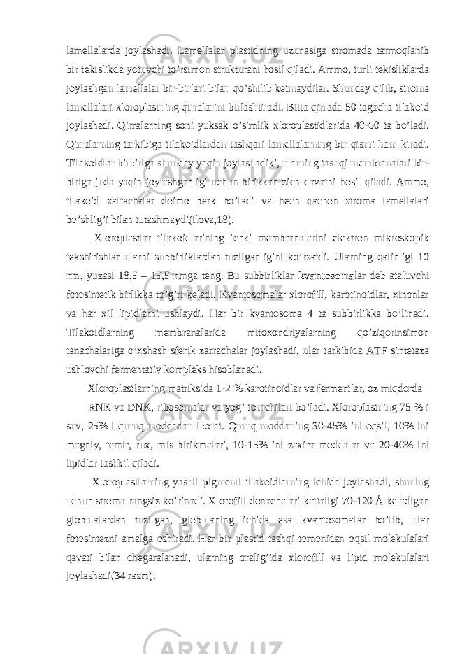 lamellalarda joylashadi. Lamellalar plastidning uzunasiga stromada tarmoqlanib bir tekislikda yotuvchi to’rsimon strukturani hosil qiladi. Ammo, turli tekisliklarda joylashgan lamellalar bir-birlari bilan qo’shilib ketmaydilar. Shunday qilib, stroma lamellalari xloroplastning qirralarini birlashtiradi. Bitta qirrada 50 tagacha tilakoid joylashadi. Qirralarning soni yuksak o’simlik xloroplastidlarida 40-60 ta bo’ladi. Qirralarning tarkibiga tilakoidlardan tashqari lamellalarning bir qismi ham kiradi. Tilakoidlar birbiriga shunday yaqin joylashadiki, ularning tashqi membranalari bir- biriga juda yaqin joylashganligi uchun birikkan zich qavatni hosil qiladi. Ammo, tilakoid xaltachalar doimo berk bo’ladi va hech qachon stroma lamellalari bo’shlig’i bilan tutashmaydi(ilova,18). Xloroplastlar tilakoidlarining ichki membranalarini elektron mikroskopik tekshirishlar ularni subbirliklardan tuzilganligini ko’rsatdi. Ularning qalinligi 10 nm, yuzasi 18,5 – 15,5 nmga teng. Bu subbirliklar kvantosoma lar deb ataluvchi fotosintetik birlikka to’g’ri keladi. Kvantosomalar xlorofill, karotinoidlar, xinonlar va har xil lipidlarni ushlaydi. Har bir kvantosoma 4 ta subbirlikka bo’linadi. Tilakoidlarning membranalarida mitoxondriyalarning qo’ziqorinsimon tanachalariga o’xshash sferik zarrachalar joylashadi, ular tarkibida ATF sintetaza ushlovchi fermentativ kompleks hisoblanadi. Xloroplastlarning matriksida 1-2 % karotinoidlar va fermentlar, oz miqdorda RNK va DNK, ribosomalar va yog’ tomchilari bo’ladi. Xloroplastning 75 % i suv, 25% i quruq moddadan iborat. Quruq moddaning 30-45% ini oqsil, 10% ini magniy, temir, rux, mis birikmalari, 10-15% ini zaxira moddalar va 20-40% ini lipidlar tashkil qiladi. Xloroplastlarning yashil pigmenti tilakoidlarning ichida joylashadi, shuning uchun stroma rangsiz ko’rinadi. Xlorofill donachalari kattaligi 70-120 Å keladigan globulalardan tuzilgan, globulaning ichida esa kvantosomalar bo’lib, ular fotosintezni amalga oshiradi. Har bir plastid tashqi tomonidan oqsil molekulalari qavati bilan chegaralanadi, ularning oralig’ida xlorofill va lipid molekulalari joylashadi(34 rasm). 