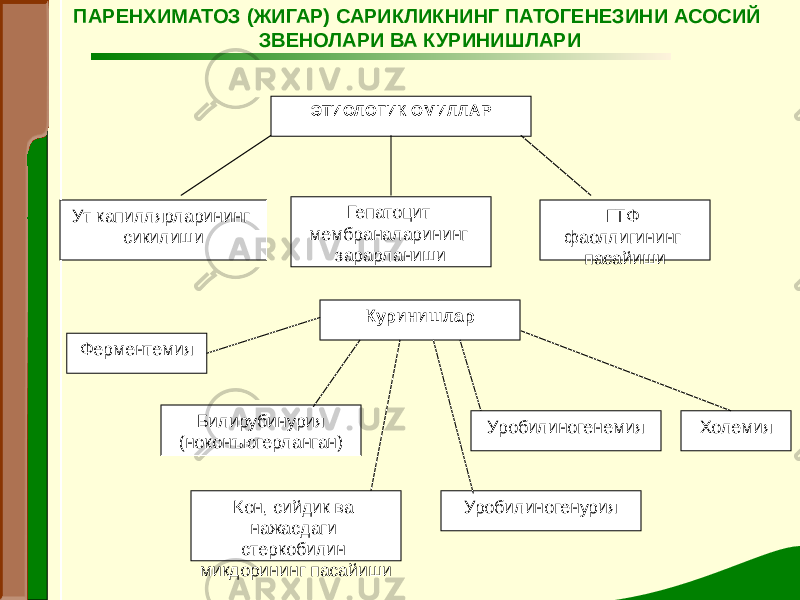 ЭТИОЛОГИК ОМИЛЛАР Ут капиллярларининг сикилиши Гепатоцит мембраналарининг зарарланиши ГТФ фаоллигининг пасайиши Куринишлар Уробилиногенемия Билирубинурия (ноконъюгерланган)Ферментемия Холемия Кон, сийдик ва нажасдаги стеркобилин микдорининг пасайиши Уробилиногенурия ПАРЕНХИМАТОЗ (ЖИГАР) САРИКЛИКНИНГ ПАТОГЕНЕЗИНИ АСОСИЙ ЗВЕНОЛАРИ ВА КУРИНИШЛАРИ 