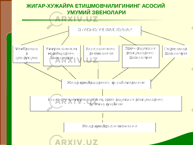 ЭТИОЛОГИК ФАКТОРЛАР Мембранала р деструкцияс и Иммунопатологик жараёнларнинг фаоллашуви Яллигланишнинг ривожланиши Эркин-радикалли реакцияларнинг фаоллашуви Гидролазлар фаоллашуви Жигар хужайраларининг куплаб емирилиши Яллигланиш, иммунопатологик, эркин радикалли реакцияларнинг кушимча кучайиши Жигар-хужайра етишмовчилиги ЖИГАР-ХУЖАЙРА ЕТИШМОВЧИЛИГИНИНГ АСОСИЙ УМУМИЙ ЗВЕНОЛАРИ 