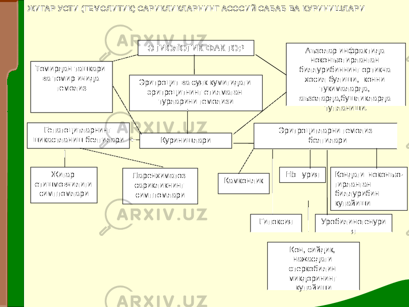 ЭТИОЛОГИК ФАКТОР Томирдан ташкари ва томир ичида гемолиз Эритроцит ва суяк кумигидаги эритроцитнинг етилмаган турларини гемолизи Аъзолар инфрактида ноконъюгирланган биллурибиннинг ортикча хосил булиши, конни тукималарда, аъзоларда,бушликларда тупланиши. Куринишлари Гепатоцитларнинг шикастланиш белгилари Эритроцитларни гемолиз белгилари Жигар етишмовчилиги симптомлари Паренхиматоз сарикликнинг симптомлари Камконлик Нb –урия Кондаги ноконъю- гирланган биллурибин купайиши Гипоксия Уробилиногенури я Кон, сийдик, нажасдаги стеркобилин микдорининг купайишиЖИГАР УСТИ (ГЕМОЛИТИК) САРИКЛИКЛАРНИНГ АСОСИЙ САБАБ ВА КУРИНИШЛАРИ 