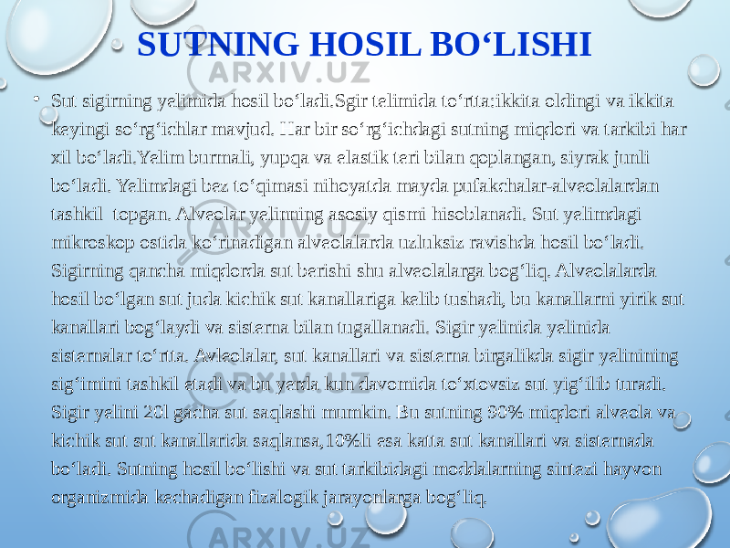 SUTNING HOSIL BO‘LISHI • Sut sigirning yelimida hosil bo‘ladi.Sgir telimida to‘rtta:ikkita oldingi va ikkita keyingi so‘rg‘ichlar mavjud. Har bir so‘rg‘ichdagi sutning miqdori va tarkibi har xil bo‘ladi.Yelim burmali, yupqa va elastik teri bilan qoplangan, siyrak junli bo‘ladi. Yelimdagi bez to‘qimasi nihoyatda mayda pufakchalar-alveolalardan tashkil topgan. Alveolar yelinning asosiy qismi hisoblanadi. Sut yelimdagi mikroskop ostida ko‘rinadigan alveolalarda uzluksiz ravishda hosil bo‘ladi. Sigirning qancha miqdorda sut berishi shu alveolalarga bog‘liq. Alveolalarda hosil bo‘lgan sut juda kichik sut kanallariga kelib tushadi, bu kanallarni yirik sut kanallari bog‘laydi va sisterna bilan tugallanadi. Sigir yelinida yelinida sisternalar to‘rtta. Avleolalar, sut kanallari va sisterna birgalikda sigir yelinining sig‘imini tashkil etadi va bu yerda kun davomida to‘xtovsiz sut yig‘ilib turadi. Sigir yelini 20l gacha sut saqlashi mumkin. Bu sutning 90% miqdori alveola va kichik sut sut kanallarida saqlansa,10%li esa katta sut kanallari va sisternada bo‘ladi. Sutning hosil bo‘lishi va sut tarkibidagi moddalarning sintezi hayvon organizmida kechadigan fizalogik jarayonlarga bog‘liq. 