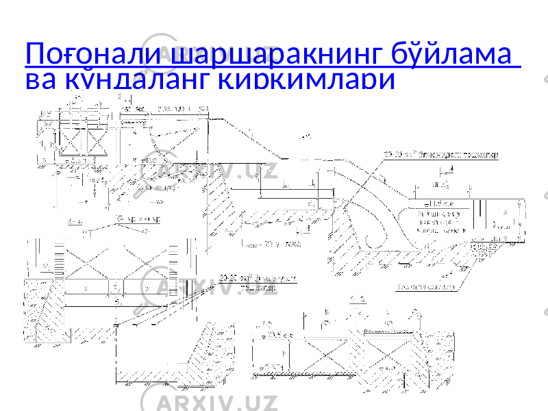 Поғонали шаршаракнинг бўйлама ва кўндаланг қирқимлари 