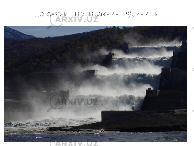 Поғонали шаршаракнинг кўриниши 