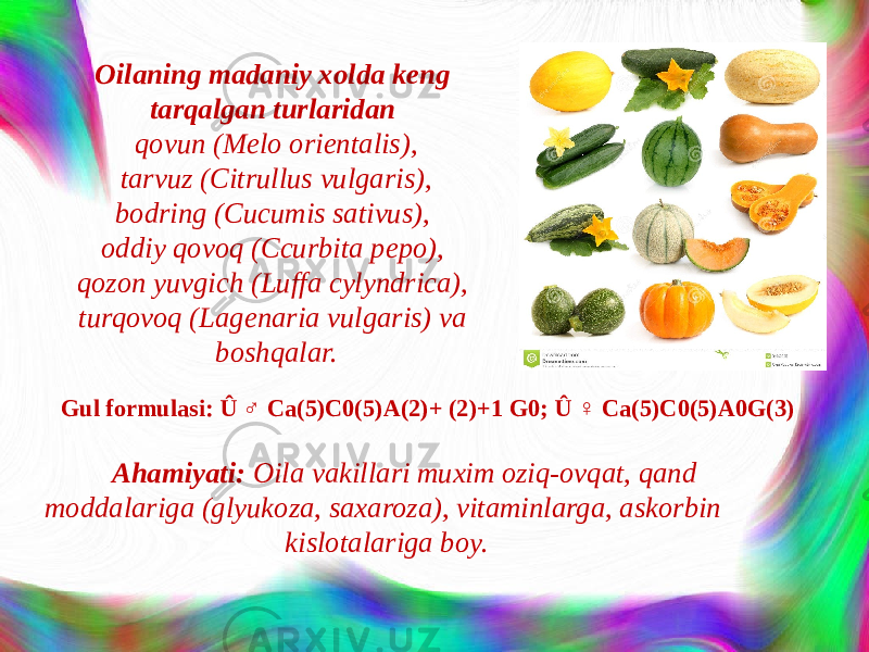 Oilaning madaniy xolda keng tarqalgan turlaridan qovun (Melo orientalis), tarvuz (Citrullus vulgaris), bodring (Cucumis sativus), oddiy qovoq (Ccurbita pepo), qozon yuvgich (Luffa cylyndrica), turqovoq (Lagenaria vulgaris) va boshqalar. Gul formulasi: Û ♂ Ca(5)C0(5)A(2)+ (2)+1 G0; Û ♀ Ca(5)C0(5)A0G(3) Ahamiyati: Oila vakillari muxim oziq-ovqat, qand moddalariga (glyukoza, saxaroza), vitaminlarga, askorbin kislotalariga boy. 
