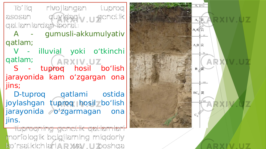 To‘liq rivojlangan tuproq asosan quyidagi genetik qatlamlardan iborat: A - gumusli-akkumulyativ qatlam; V - illuvial yoki o‘tkinchi qatlam; S - tuproq hosil bo‘lish jarayonida kam o‘zgargan ona jins; D-tuproq qatlami ostida joylashgan tuproq hosil bo‘lish jarayonida o‘zgarmagan ona jins. Tuproqning genetik qatlamlari morfologik belgilarning miqdoriy ko‘rsatkichlari va boshqa xususiyatlariga qarab qatlamchalarga bo‘linishi mumkin (A, A0, A1, A2 va h.k.). 