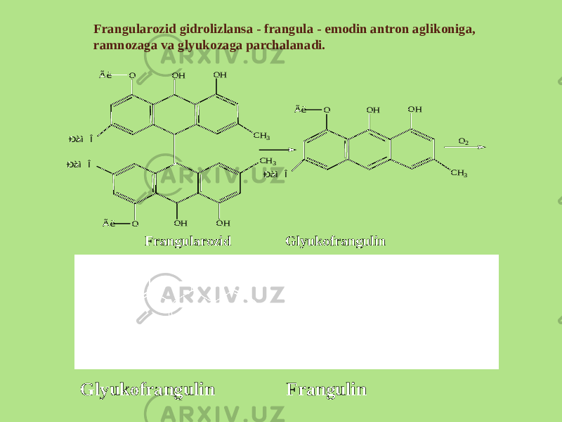 Frangularozid gidrolizlansa - frangula - emodin antron aglikoniga, ramnozaga va glyukozaga parchalanadi. Glyukofrangulin FrangulinFrangularozid GlyukofrangulinO OH OH OH CH3 O OH CH3 Ãë Ãë Ðàì Î Ðàì Î O OH OH CH3 Ãë Ðàì Î O2 