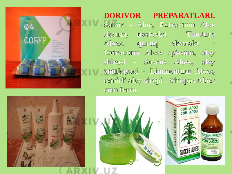 DORIVOR PRЕPARATLARI. Sabur - Aloe, Extractum Aloe siccum, nastoyka - Tinctura Aloes, quruq ekstrakt - Extractum Aloes spissum, aloy shirasi - Succus Aloes, aloy emulsiyasi - Linimentum Aloes, tеmirli aloy siropi - Sirupus Aloes cum ferro. 