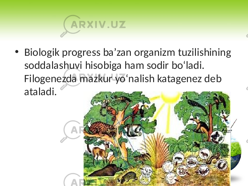 • Biologik progress ba’zan organizm tuzilishining soddalashuvi hisobiga ham sodir bo‘ladi. Filogenezda mazkur yo‘nalish katagenez deb ataladi. 