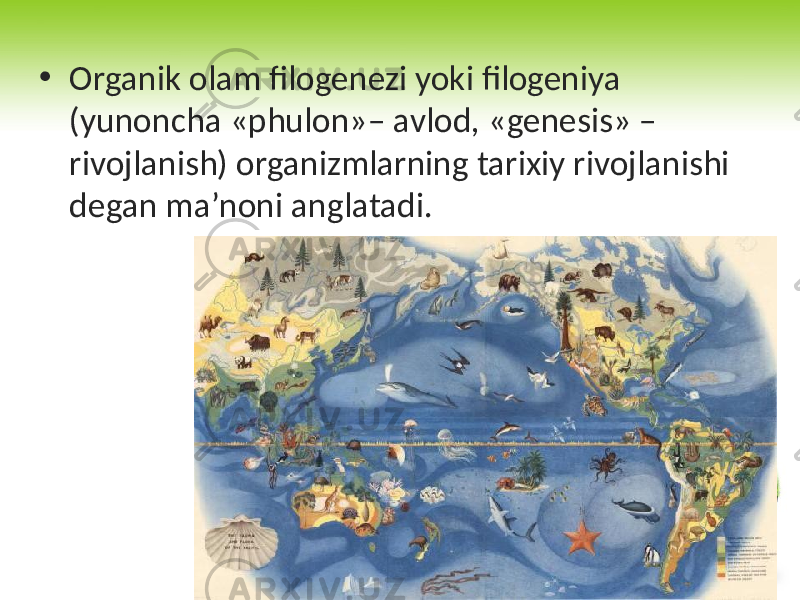 • Organik olam filogenezi yoki filogeniya (yunoncha «phulon»– avlod, «genesis» – rivojlanish) organizmlarning tarixiy rivojlanishi degan ma’noni anglatadi. 