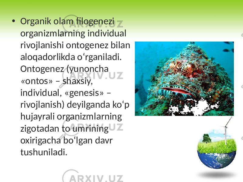 • Organik olam filogenezi organizmlarning individual rivojlanishi ontogenez bilan aloqadorlikda o‘rganiladi. Ontogenez (yunoncha « ontos» – shaxsiy, individual, «genesis» – rivojlanish) deyilganda ko‘p hujayrali organizmlarning zigotadan to umrining oxirigacha bo‘lgan davr tushuniladi. 