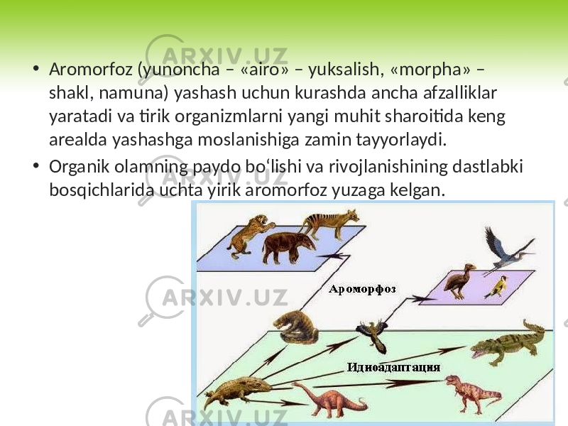 • Aromorfoz (yunoncha – «airo» – yuksalish, «morpha» – shakl, namuna) yashash uchun kurashda ancha afzalliklar yaratadi va tirik organizmlarni yangi muhit sharoitida keng arealda yashashga moslanishiga zamin tayyorlaydi. • Organik olamning paydo bo‘lishi va rivojlanishining dastlabki bosqichlarida uchta yirik aromorfoz yuzaga kelgan. 