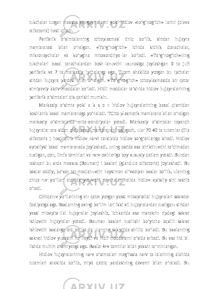 tukchalar tutgan maxsus kengaymalarni yoki hidlov «to’g’nog’ich» larini (clava olfactoria) hosil qiladi. Periferik o’simtalarning tcitoplazmasi tiniq bo’lib, sirtdan hujayra membranasi bilan o’ralgan. «To’g’nog’ich» ichida kichik donachalar, mikronaychalar va ko’pgina mitoxondriya-lar bo’ladi. «To’g’nog’ich»ning tukchalari bazal tanachalardan bosh-lanuvchi uzunasiga joylashgan 9 ta juft periferik va 2 ta markaziy ipchalarga ega. Tutam shaklida yotgan bu ipchalar sirtdan hujayra pardasi bilan o’ralgan. «To’g’nog’ich» tcitoplazmasida bir qator ximiyaviy aktiv moddalar bo’ladi. Hidli moddalar ta’sirida hidlov hujayralarining periferik o’simtalari qis-qarishi mumkin. Markaziy o’simta yoki a k s o n hidlov hujayralarining bazal qismidan boshlanib bazal membranaga yo’naladi. TCito-plazmatik membrana bilan o’ralgan markaziy o’simtalarda mito-xondriyalar yotadi. Markaziy o’simtalar tayanch hujayralar ora-sidan o’tib bazal membranani teshgach, ular 20-40 ta tutamlar (fila olfactoria ) hosil qilib hidlov nervi tarkibida hidlov so’g’onlariga kiradi. Hidlov epiteliysi bazal membranada joylashadi, uning ostida esa biriktiruvchi to’qimadan tuzilgan, qon, limfa tomirlari va nerv oxirlariga boy xususiy qatlam yotadi. Bundan tashqari bu erda maxsus (Boumen) i bezlari (glandula olfactoria) joylashadi. Bu bezlar oddiy, ba’zan tar-moqlanuvchi naysimon-al’veolyar bezlar bo’lib, ularning chiqa-ruv yo’llari alohida yotuvchi naychalar holida hidlov epiteliy-sini teshib o’tadi. CHiqaruv yo’llarining bir qator yotgan yassi mioepitelial hujayralari sekretor faoliyatga ega. Bezlarning oxirgi bo’lim-lari ikki xil hujayralardan tuzilgan: sirtdan yassi mioepite-lial hujayralar joylashib, ichkarida esa merokrin tipdagi sekret ishlovchi hujayralar yotadi. Boumen bezlari tuzilishi bo’yicha oqsilli sekret ishlovchi bezlarga oid bo’lsa-da ularning sekretida shilliq bo’ladi. Bu bezlarning sekreti hidlov yuzasini ho’llaydi va hidli moddalarni o’zida eritadi. Bu esa hid bi- lishda muhim ahamiyatga ega. Bezlar krn tomirlar bilan yaxshi ta’minlangan. Hidlov hujayralarining nerv o’simtalari mag’izsiz nerv to-lalarining alohida tutamlari shaklida bo’lib, miya qattiq pardasining davomi bilan o’raladi. Bu 