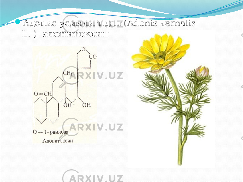  Адонис усимлигидан (Аdonis vernalis L. ) адонитоксин 