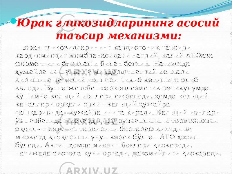  Юрак гликозидларининг асосий таъсир механизми: юрак гликозидларининг кардиотоник таъсири кардиомиоцит мембранасидаги натрий, калий-АТФаза ферментини блоклаши билан боғлик. Натижада ҳужайра ичига катта микдорда натрий ионлари киришига ва калий ионлари чикиб кетишига олиб келади. Бунга жавобан саркоплазматик ретикулумдан қўшимча кальций ионлари ажралади, ҳамда кальций каналлари орқали эркин кальций ҳужайра ташқарисидан ҳужайра ичига киради. Кальций ионлари ўз навбатида миокард қисқарувчанлигини тормозловчи оқсил - тропонин таъсирини бартараф қилади ва миокард қисқариши учун керак бўлган АТФ ҳосил бўлади. Актин ҳамда миозин боғлари қискаради, натижада систола кучи ортади, давомийлиги қисқаради. 