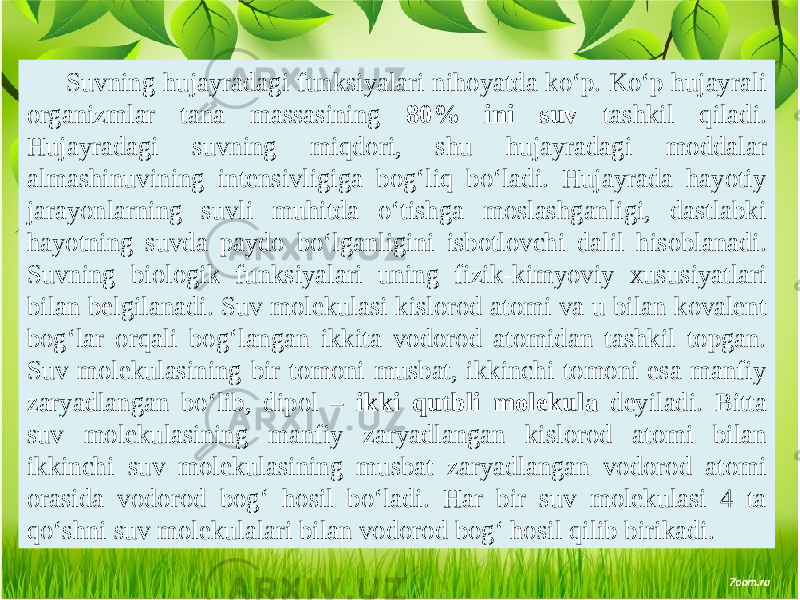 Suvning hujayradagi funksiyalari nihoyatda ko‘p. Ko‘p hujayrali organizmlar tana massasining 80% ini suv tashkil qiladi. Hujayradagi suvning miqdori, shu hujayradagi moddalar almashinuvining intensivligiga bog‘liq bo‘ladi. Hujayrada hayotiy jarayonlarning suvli muhitda o‘tishga moslashganligi, dastlabki hayotning suvda paydo bo‘lganligini isbotlovchi dalil hisoblanadi. Suvning biologik funksiyalari uning fizik-kimyoviy xususiyatlari bilan belgilanadi. Suv molekulasi kislorod atomi va u bilan kovalent bog‘lar orqali bog‘langan ikkita vodorod atomidan tashkil topgan. Suv molekulasining bir tomoni musbat, ikkinchi tomoni esa manfiy zaryadlangan bo‘lib, dipol – ikki qutbli molekula deyiladi. Bitta suv molekulasining manfiy zaryadlangan kislorod atomi bilan ikkinchi suv molekulasining musbat zaryadlangan vodorod atomi orasida vodorod bog‘ hosil bo‘ladi. Har bir suv molekulasi 4 ta qo‘shni suv molekulalari bilan vodorod bog‘ hosil qilib birikadi. 