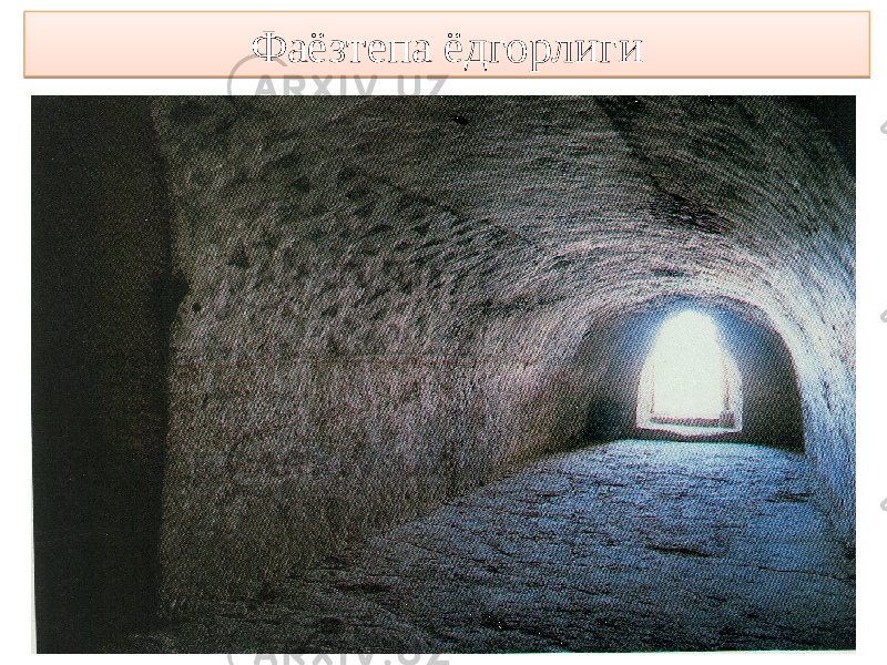 Фаёзтепа ёдгорлиги47 