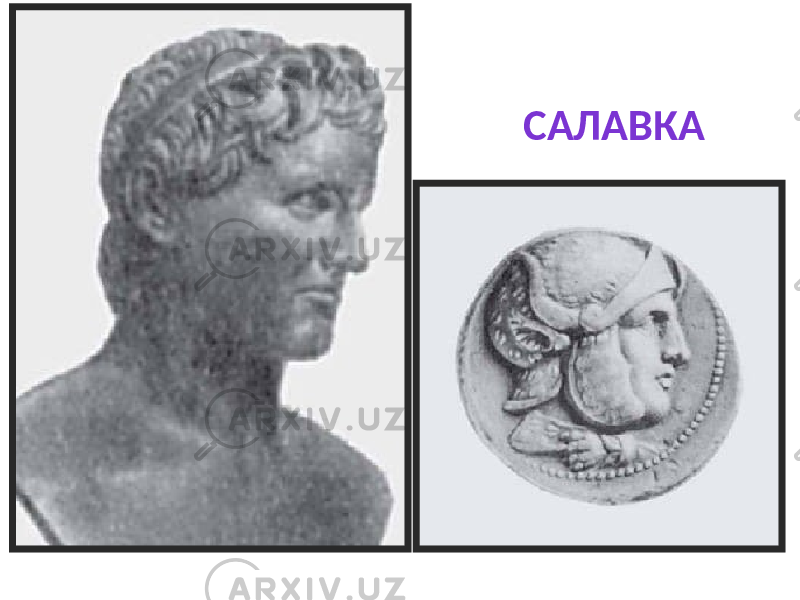 САЛАВКА 