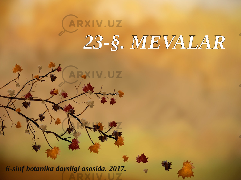 23-§. MEVALAR 6-sinf botanika darsligi asosida. 2017. 