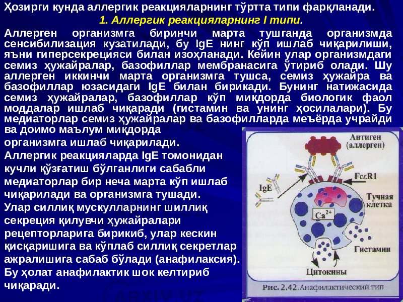 Ҳозирги кунда аллергик реакцияларнинг тўртта типи фарқланади. 1. Аллергик реакцияларнинг I типи . Аллерген организмга биринчи марта тушганда организмда сенсибилизация кузатилади, бу IgE нинг кўп ишлаб чиқарилиши, яъни гиперсекрецияси билан изоҳланади. Кейин улар организмдаги семиз ҳужайралар, базофиллар мембранасига ўтириб олади. Шу аллерген иккинчи марта организмга тушса, семиз ҳужайра ва базофиллар юзасидаги IgE билан бирикади. Бунинг натижасида семиз ҳужайралар, базофиллар кўп миқдорда биологик фаол моддалар ишлаб чиқаради (гистамин ва унинг ҳосилалари). Бу медиаторлар семиз ҳужайралар ва базофилларда меъёрда учрайди ва доимо маълум миқдорда организмга ишлаб чиқарилади. Аллергик реакцияларда IgE томонидан кучли қўзғатиш бўлганлиги сабабли медиаторлар бир неча марта кўп ишлаб чиқарилади ва организмга тушади. Улар силлиқ мускулларнинг шиллиқ секреция қилувчи ҳужайралари рецепторларига бирикиб, улар кескин қисқаришига ва кўплаб силлиқ секретлар ажралишига сабаб бўлади (анафилаксия). Бу ҳолат анафилактик шок келтириб чиқаради. 