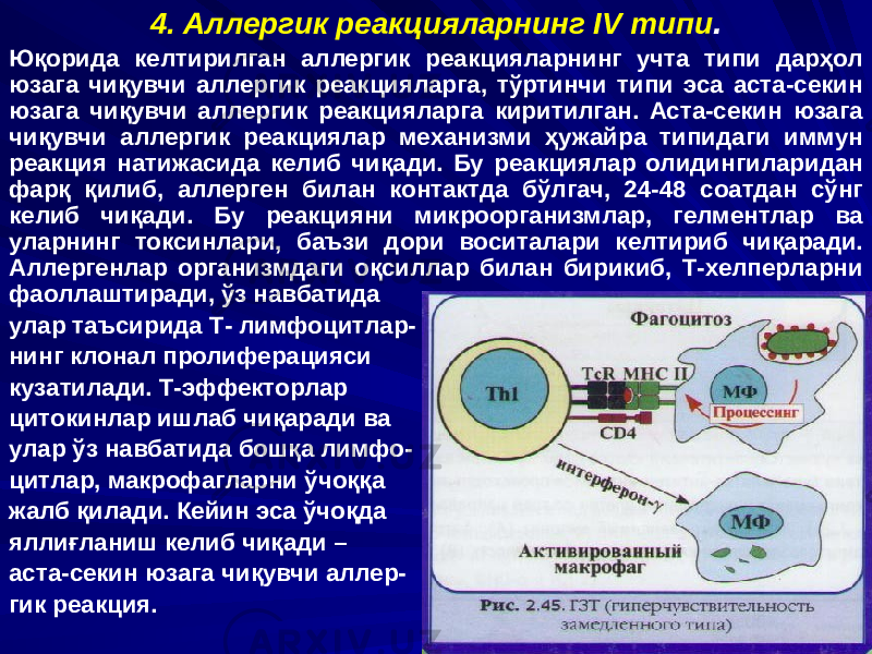 4. Аллергик реакцияларнинг IV типи . Юқорида келтирилган аллергик реакцияларнинг учта типи дарҳол юзага чиқувчи аллергик реакцияларга, тўртинчи типи эса аста-секин юзага чиқувчи аллергик реакцияларга киритилган. Аста-секин юзага чиқувчи аллергик реакциялар механизми ҳужайра типидаги иммун реакция натижасида келиб чиқади. Бу реакциялар олидингиларидан фарқ қилиб, аллерген билан контактда бўлгач, 24-48 соатдан сўнг келиб чиқади. Бу реакцияни микроорганизмлар, гелментлар ва уларнинг токсинлари, баъзи дори воситалари келтириб чиқаради. Аллергенлар организмдаги оқсиллар билан бирикиб, Т-хелперларни фаоллаштиради, ўз навбатида улар таъсирида Т- лимфоцитлар- нинг клонал пролиферацияси кузатилади. Т-эффекторлар цитокинлар ишлаб чиқаради ва улар ўз навбатида бошқа лимфо- цитлар, макрофагларни ўчоққа жалб қилади. Кейин эса ўчоқда яллиғланиш келиб чиқади – аста-секин юзага чиқувчи аллер- гик реакция. 