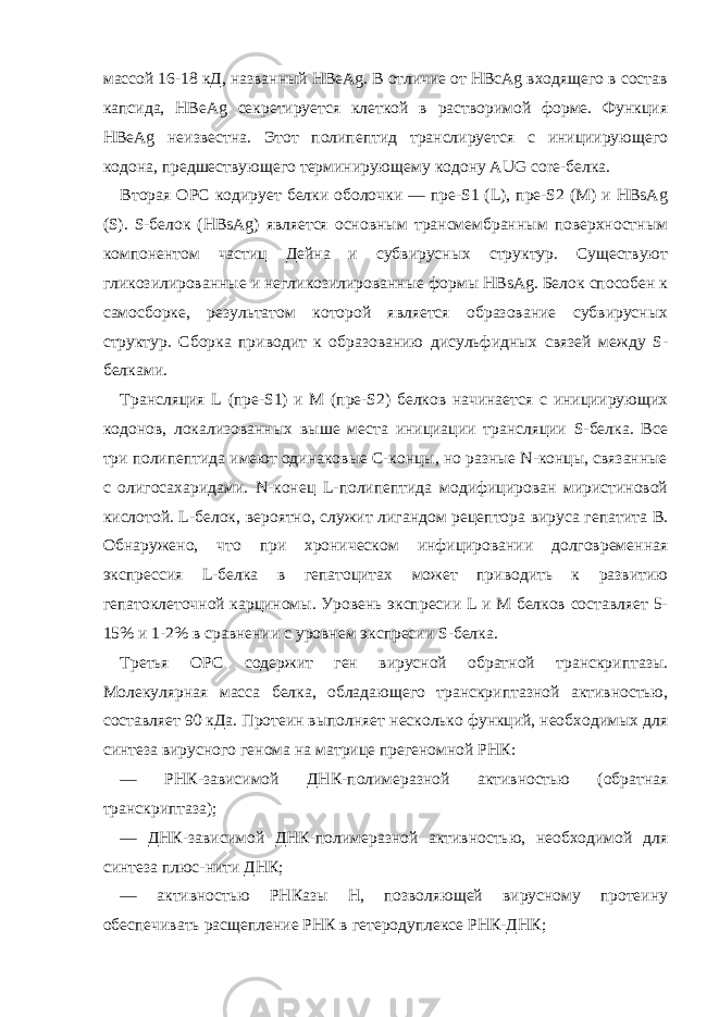 массой 16-18 кД, названный HBeAg. В отличие от HBcAg входящего в состав капсида, HBeAg секретируется клеткой в растворимой форме. Функция HBeAg неизвестна. Этот полипептид транслируется с инициирующего кодона, предшествующего терминирующему кодону AUG core-белка. Вторая OPC кодирует белки оболочки — пре-S1 (L), пре-S2 (M) и HBsAg (S). S-белок (HBsAg) является основным трансмембранным поверхностным компонентом частиц Дейна и субвирусных структур. Существуют гликозилированные и негликозилированные формы HBsAg. Белок способен к самосборке, результатом которой является образование субвирусных структур. Сборка приводит к образованию дисульфидных связей между S- белками. Трансляция L (пре-S1) и M (пре-S2) белков начинается с инициирующих кодонов, локализованных выше места инициации трансляции S-белка. Все три полипептида имеют одинаковые C-концы, но разные N-концы, связанные с олигосахаридами. N-конец L-полипептида модифицирован миристиновой кислотой. L-белок, вероятно, служит лигандом рецептора вируса гепатита B. Обнаружено, что при хроническом инфицировании долговременная экспрессия L-белка в гепатоцитах может приводить к развитию гепатоклеточной карциномы. Уровень экспресии L и M белков составляет 5- 15% и 1-2% в сравнении с уровнем экспресии S-белка. Третья OPC содержит ген вирусной обратной транскриптазы. Молекулярная масса белка, обладающего транскриптазной активностью, составляет 90 кДа. Протеин выполняет несколько функций, необходимых для синтеза вирусного генома на матрице прегеномной РНК: — РНК-зависимой ДНК-полимеразной активностью (обратная транскриптаза); — ДНК-зависимой ДНК-полимеразной активностью, необходимой для синтеза плюс-нити ДНК; — активностью РНКазы H, позволяющей вирусному протеину обеспечивать расщепление РНК в гетеродуплексе РНК-ДНК; 