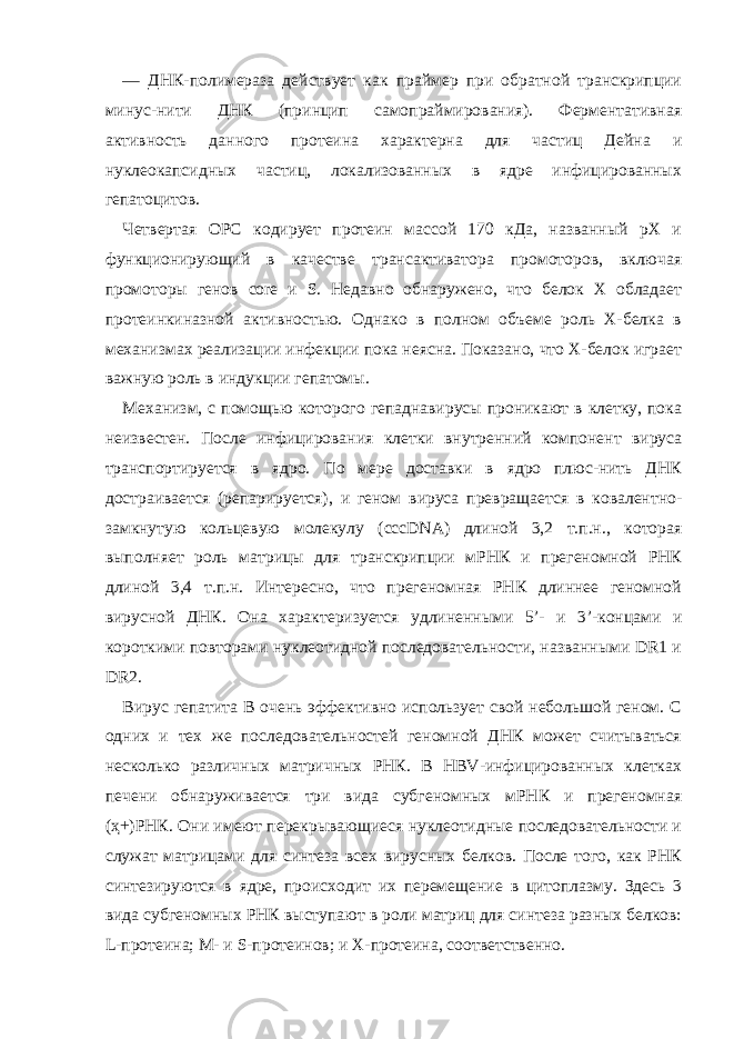 — ДНК-полимераза действует как праймер при обратной транскрипции минус-нити ДНК (принцип самопраймирования). Ферментативная активность данного протеина характерна для частиц Дейна и нуклеокапсидных частиц, локализованных в ядре инфицированных гепатоцитов. Четвертая OPC кодирует протеин массой 170 кДа, названный pX и функционирующий в качестве трансактиватора промоторов, включая промоторы генов core и S. Недавно обнаружено, что белок X обладает протеинкиназной активностью. Однако в полном объеме роль X-белка в механизмах реализации инфекции пока неясна. Показано, что X-белок играет важную роль в индукции гепатомы. Механизм, с помощью которого гепаднавирусы проникают в клетку, пока неизвестен. После инфицирования клетки внутренний компонент вируса транспортируется в ядро. По мере доставки в ядро плюс-нить ДНК достраивается (репарируется), и геном вируса превращается в ковалентно- замкнутую кольцевую молекулу (cccDNA) длиной 3,2 т.п.н., которая выполняет роль матрицы для транскрипции мРНК и прегеномной РНК длиной 3,4 т.п.н. Интересно, что прегеномная РНК длиннее геномной вирусной ДНК. Она характеризуется удлиненными 5’- и 3’-концами и короткими повторами нуклеотидной последовательности, названными DR1 и DR2. Вирус гепатита B очень эффективно использует свой небольшой геном. С одних и тех же последовательностей геномной ДНК может считываться несколько различных матричных РНК. В HBV-инфицированных клетках печени обнаруживается три вида субгеномных мРНК и прегеномная (ҳ+)РНК. Они имеют перекрывающиеся нуклеотидные последовательности и служат матрицами для синтеза всех вирусных белков. После того, как РНК синтезируются в ядре, происходит их перемещение в цитоплазму. Здесь 3 вида субгеномных РНК выступают в роли матриц для синтеза разных белков: L-протеина; M- и S-протеинов; и X-протеина, соответственно. 