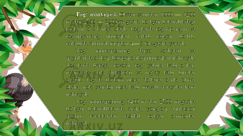 11Tog‘ mintaqasi. Okean sathidan 1000 — 1200 m dan 2700 — 2800 m gacha bo‘lgan balandlikdagi joylarni o‘z ichiga oladi. Tog‘larda tog‘-qo‘ng‘ir va tog‘-jigarrang tuproqlari tarkib topgan bo‘lib, tarkibida chirindi miqdori 4—6 foizgacha yetadi. Tog‘ mintaqasining daryo vodiylari va qayirlarida o‘tloq, botqoq-o‘tloq tuproqlari uchraydi. Tog‘larda betaga, rovoch, tog‘ yalpizi kabi o‘tlar, na’matak, zirk, dukcho‘p va irg‘ay kabi butalar o‘sadi. Tog‘da bodom, pista, do‘lana, o‘rik, olma, olcha, nok, xandon pista kabi mevali daraxtlar ham uchraydi. Tog‘ mintaqasining 1400 m dan 2500 m gacha bo‘lgan balandliklarida archa, yong‘oq, Turkiston qayini, teraklardan tashkil topgan o‘rmonlar uchraydi. 