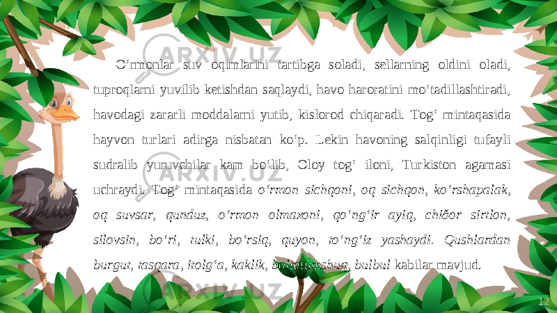 12O‘rmonlar suv oqimlarini tartibga soladi, sellarning oldini oladi, tuproqlarni yuvilib ketishdan saqlaydi, havo haroratini mo‘tadillashtiradi, havodagi zararli moddalarni yutib, kislorod chiqaradi. Tog‘ mintaqasida hayvon turlari adirga nisbatan ko‘p. Lekin havoning salqinligi tufayli sudralib yuruvchilar kam bo‘lib, Oloy tog‘ iloni, Turkiston agamasi uchraydi. Tog‘ mintaqasida o‘rmon sichqoni, oq sichqon, ko‘rshapalak, oq suvsar, qunduz, o‘rmon olmaxoni, qo‘ng‘ir ayiq, chiðor sirtlon, silovsin, bo‘ri, tulki, bo‘rsiq, quyon, to‘ng‘iz yashaydi. Qushlardan burgut, tasqara, itolg‘a, kaklik, boltatumshuq, bulbul kabilar mavjud. 