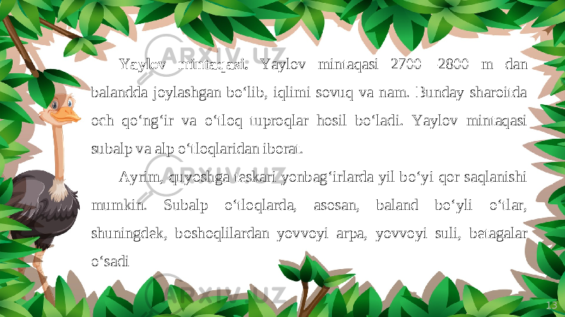 13Yaylov mintaqasi. Yaylov mintaqasi 2700—2800 m dan balandda joylashgan bo‘lib, iqlimi sovuq va nam. Bunday sharoitda och qo‘ng‘ir va o‘tloq tuproqlar hosil bo‘ladi. Yaylov mintaqasi subalp va alp o‘tloqlaridan iborat. Ayrim, quyoshga teskari yonbag‘irlarda yil bo‘yi qor saqlanishi mumkin. Subalp o‘tloqlarda, asosan, baland bo‘yli o‘tlar, shuningdek, boshoqlilardan yovvoyi arpa, yovvoyi suli, betagalar o‘sadi 