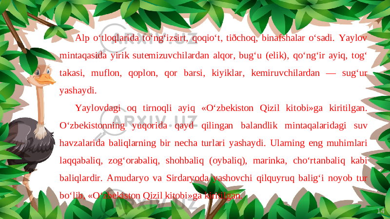 14Alp o‘tloqlarida to‘ng‘izsirt, qoqio‘t, tiðchoq, binafshalar o‘sadi. Yaylov mintaqasida yirik sutemizuvchilardan alqor, bug‘u (elik), qo‘ng‘ir ayiq, tog‘ takasi, muflon, qoplon, qor barsi, kiyiklar, kemiruvchilardan — sug‘ur yashaydi. Yaylovdagi oq tirnoqli ayiq «O‘zbekiston Qizil kitobi»ga kiritilgan. O‘zbekistonning yuqorida qayd qilingan balandlik mintaqalaridagi suv havzalarida baliqlarning bir necha turlari yashaydi. Ularning eng muhimlari laqqabaliq, zog‘orabaliq, shohbaliq (oybaliq), marinka, cho‘rtanbaliq kabi baliqlardir. Amudaryo va Sirdaryoda yashovchi qilquyruq balig‘i noyob tur bo‘lib, «O‘zbekiston Qizil kitobi»ga kiritilgan. 