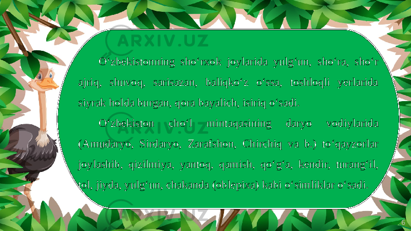 6O‘zbekistonning sho‘rxok joylarida yulg‘un, sho‘ra, sho‘r ajriq, shuvoq, sarisazan, baliqko‘z o‘ssa, toshloqli yerlarida siyrak holda burgan, qora bayalich, isiriq o‘sadi. O‘zbekiston cho‘l mintaqasining daryo vodiylarida (Amudaryo, Sirdaryo, Zarafshon, Chirchiq va b.) to‘qayzorlar joylashib, qizilmiya, yantoq, qamish, qo‘g‘a, kendir, turang‘il, tol, jiyda, yulg‘un, chakanda (oblepixa) kabi o‘simliklar o‘sadi. 