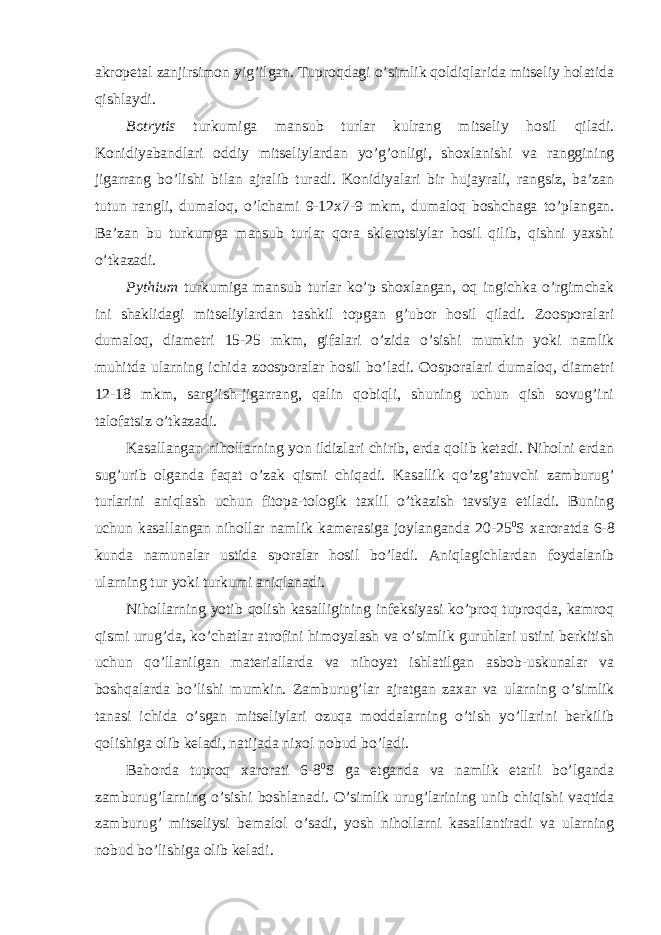 akropetal zanjirsimon yig’ilgan. Tuproqdagi o’simlik qoldiqlarida mitseliy holatida qishlaydi. Botrytis turkumiga mansub turlar kulrang mitseliy hosil qiladi. Konidiyabandlari oddiy mitseliylardan yo’g’onligi, shoxlanishi va ranggining jigarrang bo’lishi bilan ajralib turadi. Konidiyalari bir hujayrali, rangsiz, ba’zan tutun rangli, dumaloq, o’lchami 9-12x7-9 mkm, dumaloq boshchaga to’plangan. Ba’zan bu turkumga mansub turlar qora sklerotsiylar hosil qilib, qishni yaxshi o’tkazadi. Pythium turkumiga mansub turlar ko’p shoxlangan, oq ingichka o’rgimchak ini shaklidagi mitseliylardan tashkil topgan g’ubor hosil qiladi. Zoosporalari dumaloq, diametri 15-25 mkm, gifalari o’zida o’sishi mumkin yoki namlik muhitda ularning ichida zoosporalar hosil bo’ladi. Oosporalari dumaloq, diametri 12-18 mkm, sarg’ish-jigarrang, qalin qobiqli, shuning uchun qish sovug’ini talofatsiz o’tkazadi. Kasallangan nihollarning yon ildizlari chirib, erda qolib ketadi. Niholni erdan sug’urib olganda faqat o’zak qismi chiqadi. Kasallik qo’zg’atuvchi zamburug’ turlarini aniqlash uchun fitopa-tologik taxlil o’tkazish tavsiya etiladi. Buning uchun kasallangan nihollar namlik kamerasiga joylanganda 20-25 0 S xaroratda 6-8 kunda namunalar ustida sporalar hosil bo’ladi. Aniqlagichlardan foydalanib ularning tur yoki turkumi aniqlanadi. Nihollarning yotib qolish kasalligining infeksiyasi ko’proq tuproqda, kamroq qismi urug’da, ko’chatlar atrofini himoyalash va o’simlik guruhlari ustini berkitish uchun qo’llanilgan materiallarda va nihoyat ishlatilgan asbob-uskunalar va boshqalarda bo’lishi mumkin. Zamburug’lar ajratgan zaxar va ularning o’simlik tanasi ichida o’sgan mitseliylari ozuqa moddalarning o’tish yo’llarini berkilib qolishiga olib keladi, natijada nixol nobud bo’ladi. Bahorda tuproq xarorati 6-8 0 S ga etganda va namlik etarli bo’lganda zamburug’larning o’sishi boshlanadi. O’simlik urug’larining unib chiqishi vaqtida zamburug’ mitseliysi bemalol o’sadi, yosh nihollarni kasallantiradi va ularning nobud bo’lishiga olib keladi. 