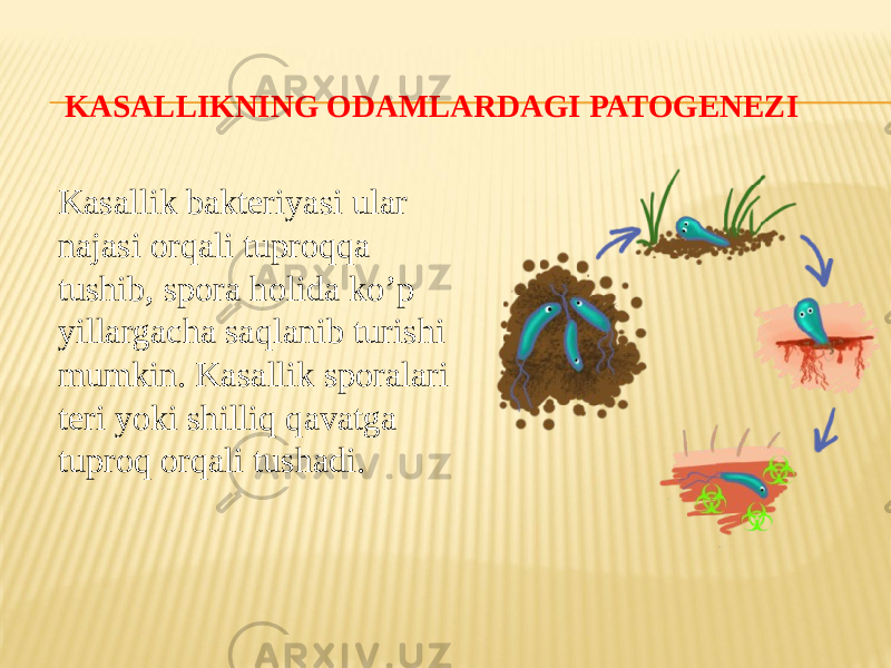 KASALLIKNING ODAMLARDAGI PATOGENEZI Kasallik bakteriyasi ular najasi orqali tuproqqa tushib, spora holida koʼp yillargacha saqlanib turishi mumkin. Kasallik sporalari teri yoki shilliq qavatga tuproq orqali tushadi. 