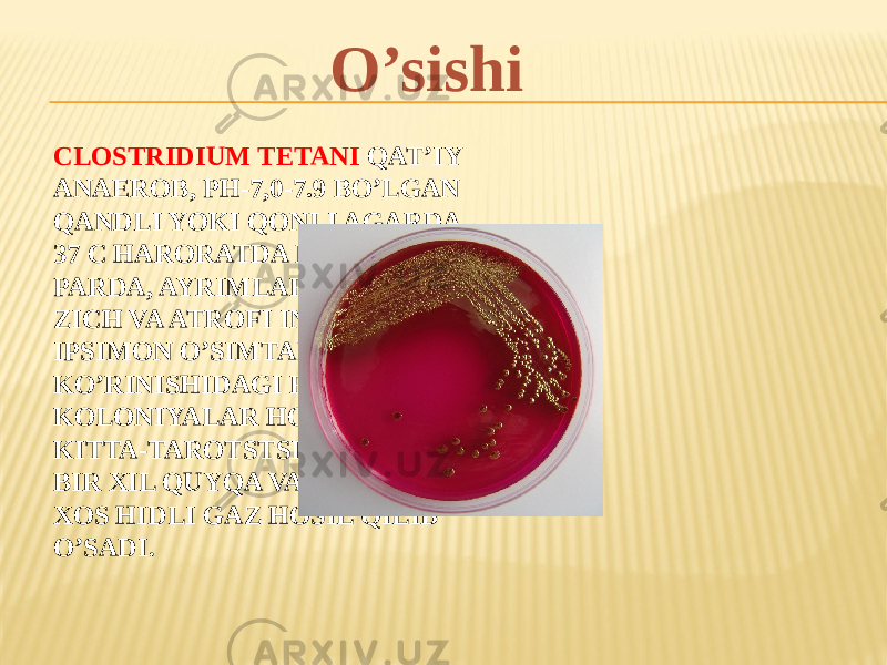 CLОSTRIDIUM TETANI QATʼIY ANAEROB, PH-7,0-7.9 BOʼLGAN QANDLI YOKI QONLI AGARDA 37 C HARORATDA NOZIK PARDA, AYRIMLARI MARKAZI ZICH VA ATROFI INGICHKA IPSIMON OʼSIMTALAR KOʼRINISHIDAGI R- KOLONIYALAR HOSIL QILADI. KITTA-TAROTSTSI MUHITIDA BIR XIL QUYQA VA OʼZIGA XOS HIDLI GAZ HOSIL QILIB OʼSADI . O’sishi 