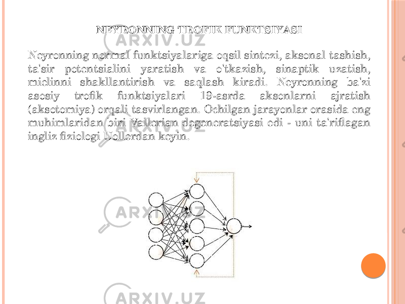 NEYRONNING TROFIK FUNKTSIYASI Neyronning normal funktsiyalariga oqsil sintezi, aksonal tashish, ta&#39;sir potentsialini yaratish va o&#39;tkazish, sinaptik uzatish, mielinni shakllantirish va saqlash kiradi. Neyronning ba&#39;zi asosiy trofik funktsiyalari 19-asrda aksonlarni ajratish (aksotomiya) orqali tasvirlangan. Ochilgan jarayonlar orasida eng muhimlaridan biri Vallerian degeneratsiyasi edi - uni ta&#39;riflagan ingliz fiziologi Uollerdan keyin. 