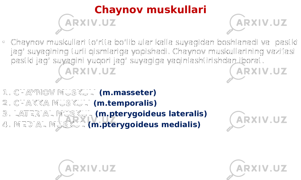 Chaynov muskullari • Chaynov muskullari to’rtta bo’lib ular kalla suyagidan boshlanadi va pastki jag’ suyagining turli qismlariga yopishadi. Chaynov muskullarining vazifasi pastki jag’ suyagini yuqori jag’ suyagiga yaqinlashtirishdan iborat. 1. CHAYNOV MUSKULI (m.masseter) 2. CHAKKA MUSKULI (m.temporalis) 3. LATERIAL MUSKUL (m.pterygoideus lateralis) 4. MEDIAL MUSKUL (m.pterygoideus medialis) 