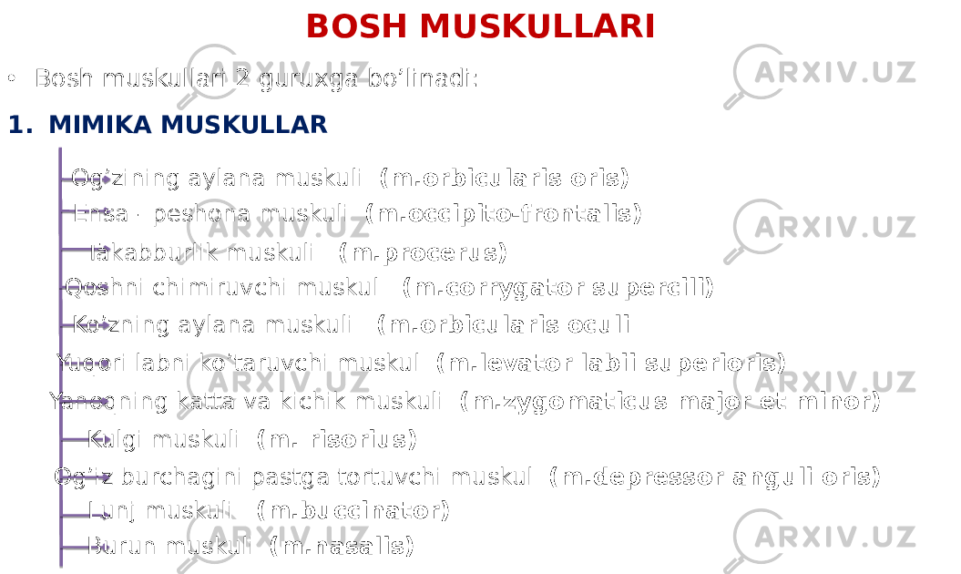 BOSH MUSKULLARI • Bosh muskullari 2 guruxga bo’linadi: 1. MIMIKA MUSKULLAR Ensa - peshona muskuli (m.occipito-frontalis) Takabburlik muskuli (m.procerus) Ko’zning aylana muskuli (m.orbicularis oculiQoshni chimiruvchi muskul (m.corrygator supercili) Yuqori labni ko’taruvchi muskul (m.levator labii superioris) Yanoqning katta va kichik muskuli (m.zygomaticus major et minor) Kulgi muskuli (m. risorius) Og’iz burchagini pastga tortuvchi muskul (m.depressor anguli oris) Lunj muskuli (m.buccinator)Og’zining aylana muskuli (m.orbicularis oris) Burun muskuli (m.nasalis) 